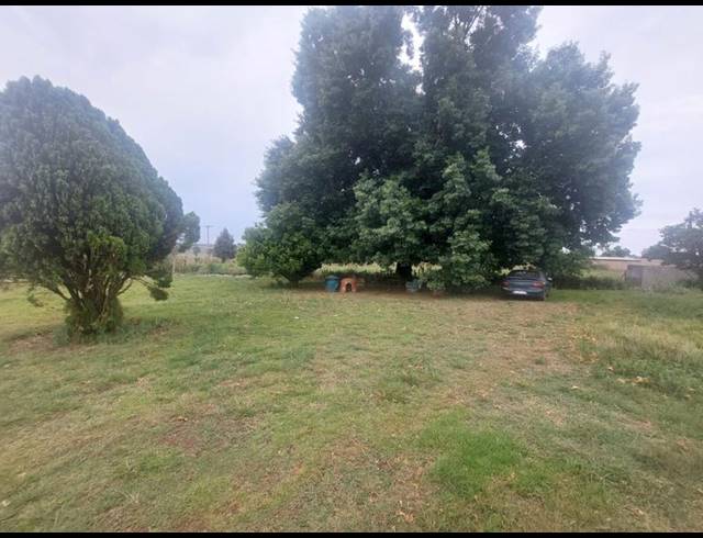 3 BEDROOM HOUSE FOR SALE IN SYFERBULT